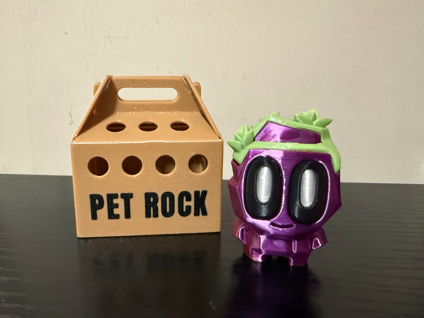 Mystery Pet Rock with Carrier image 2