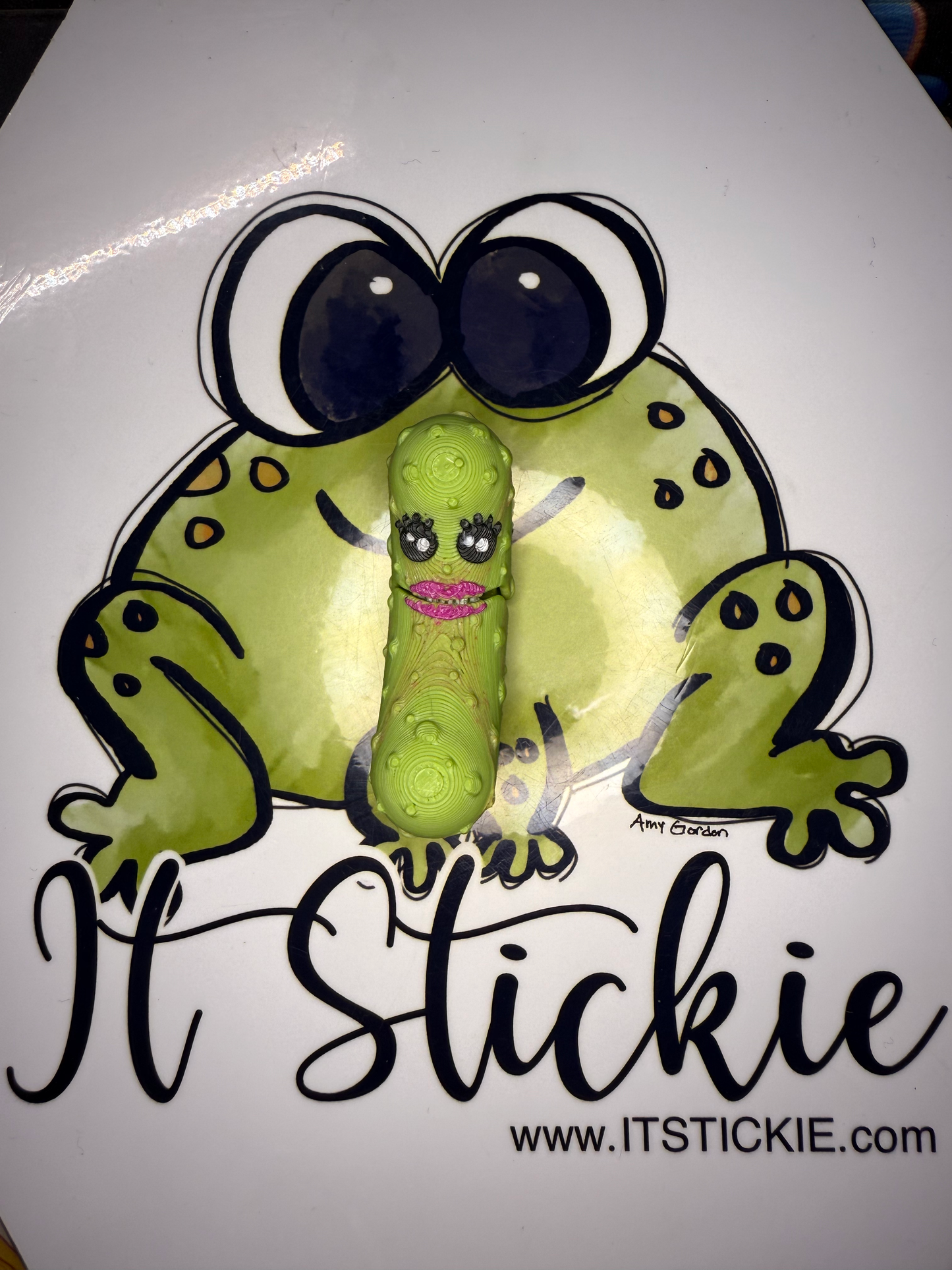 Pickle Set with mystery pickle Box image 9