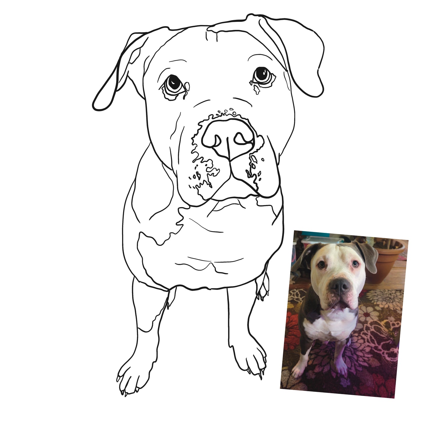 Custom Digital Pet Line Art – Minimalist Pet Portrait image 3