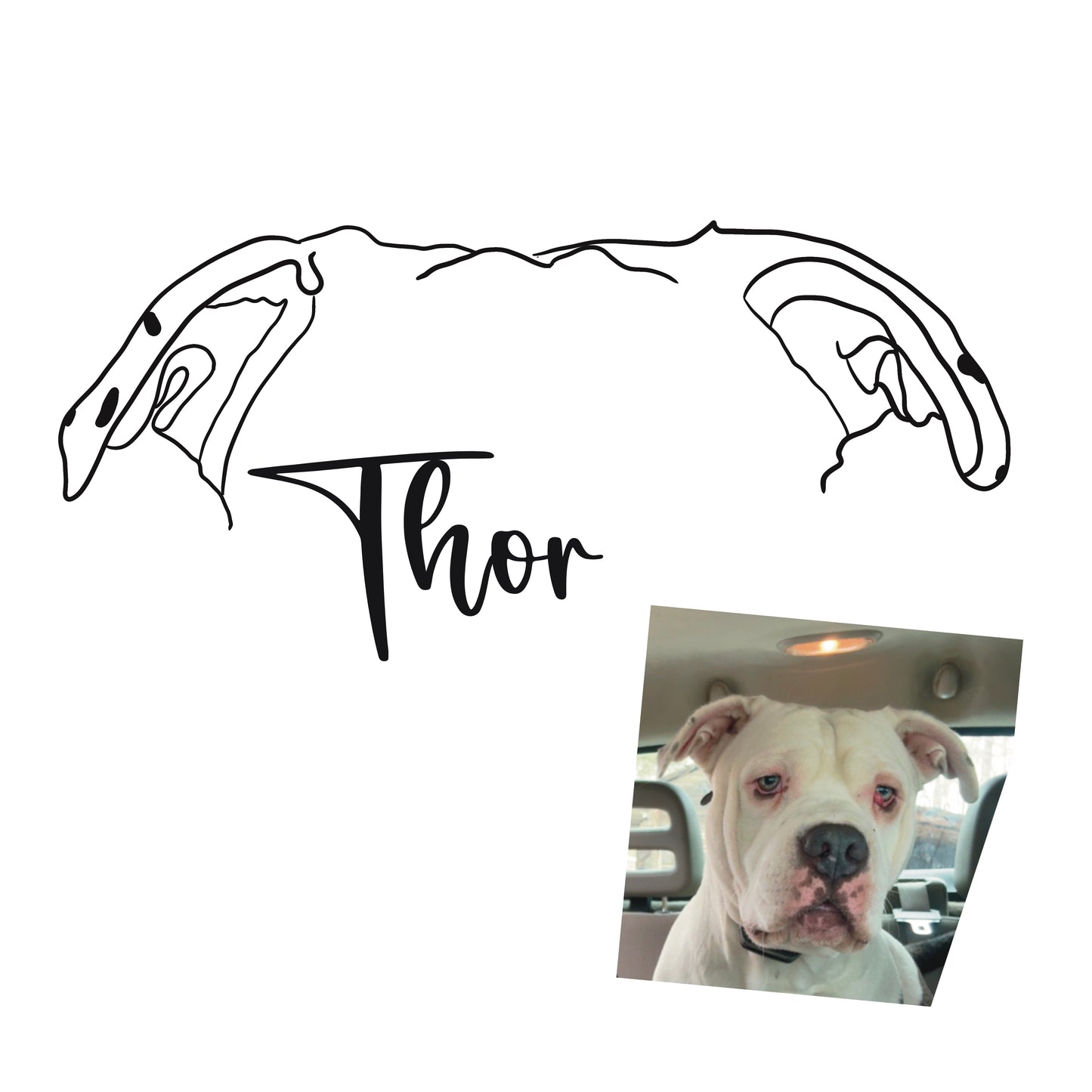 Custom Digital Pet Line Art – Minimalist Pet Portrait image 2