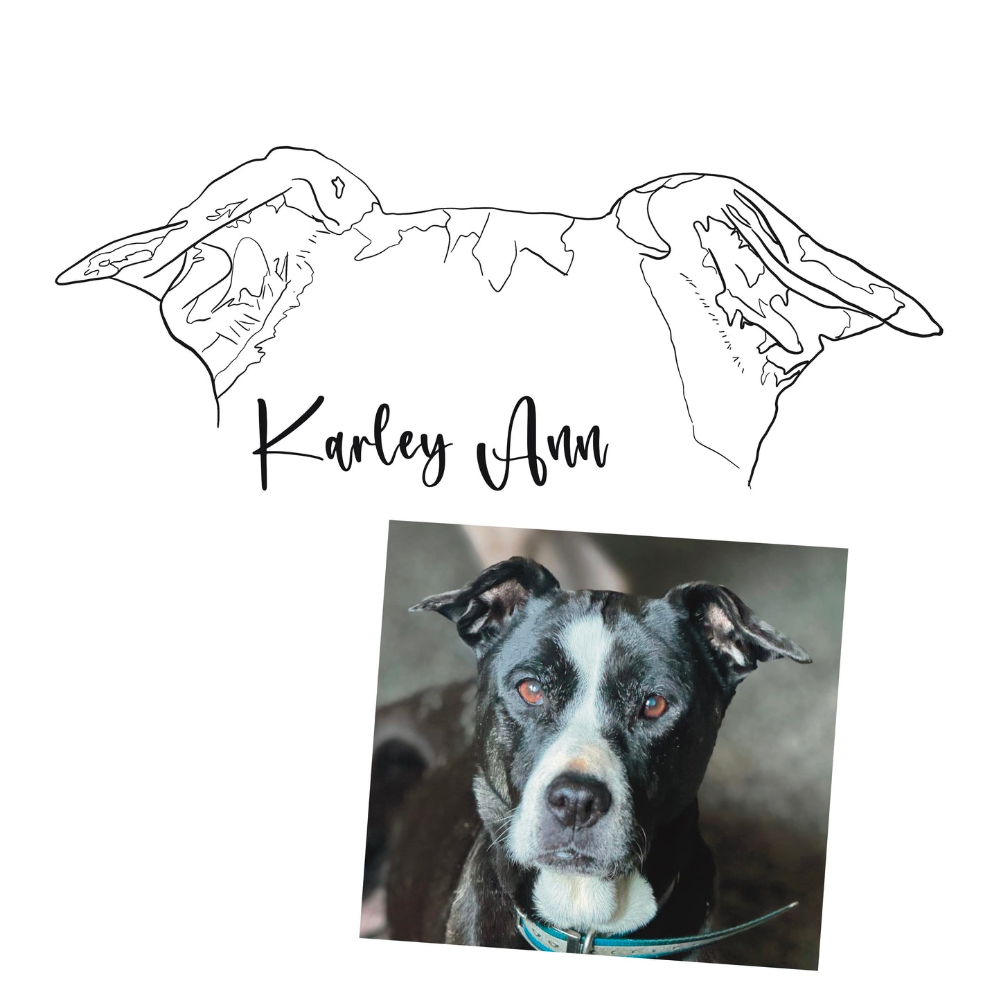 Custom Digital Pet Line Art – Minimalist Pet Portrait image 4