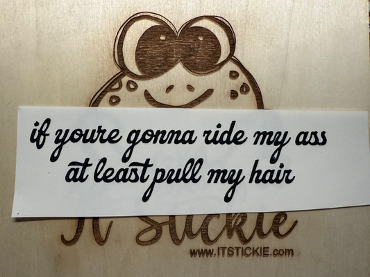 if you're gonna ride my ass at least pull my hair Decal image 0
