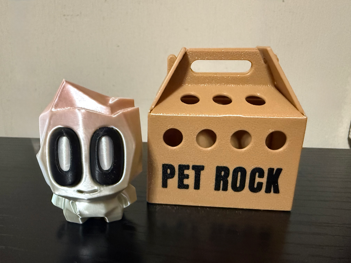 Mystery Pet Rock with Carrier image 4