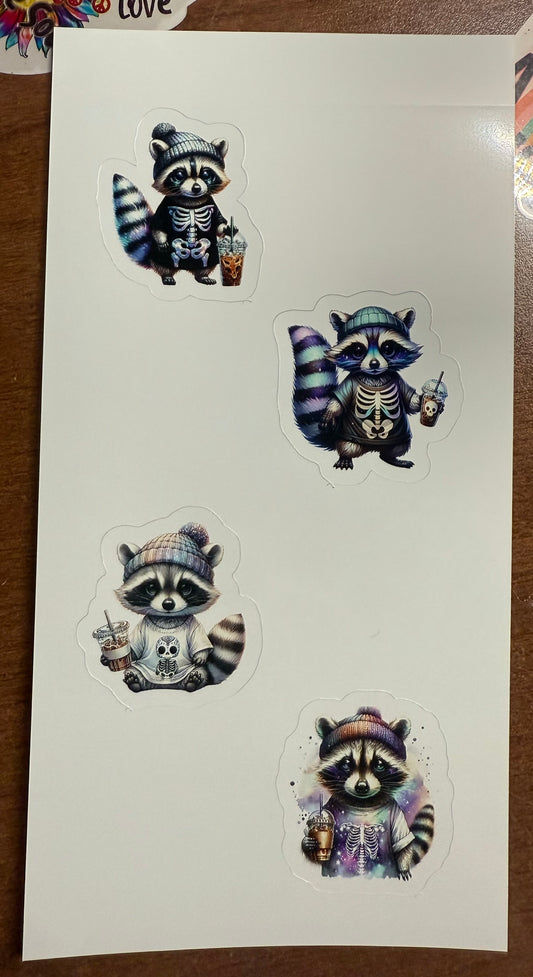 Halloween Raccoons