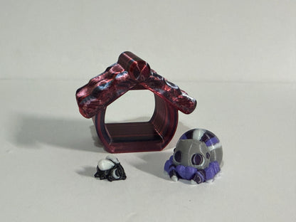 Mini Spider Magnet & Web Enclosure Set 🕸️