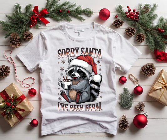 Sorry Santa Shirt